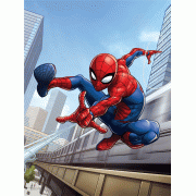 SPIDER-MAN ขูดภาพแสนสนุก SCRATCH MAGIC ART + แท่งขูดภาพ